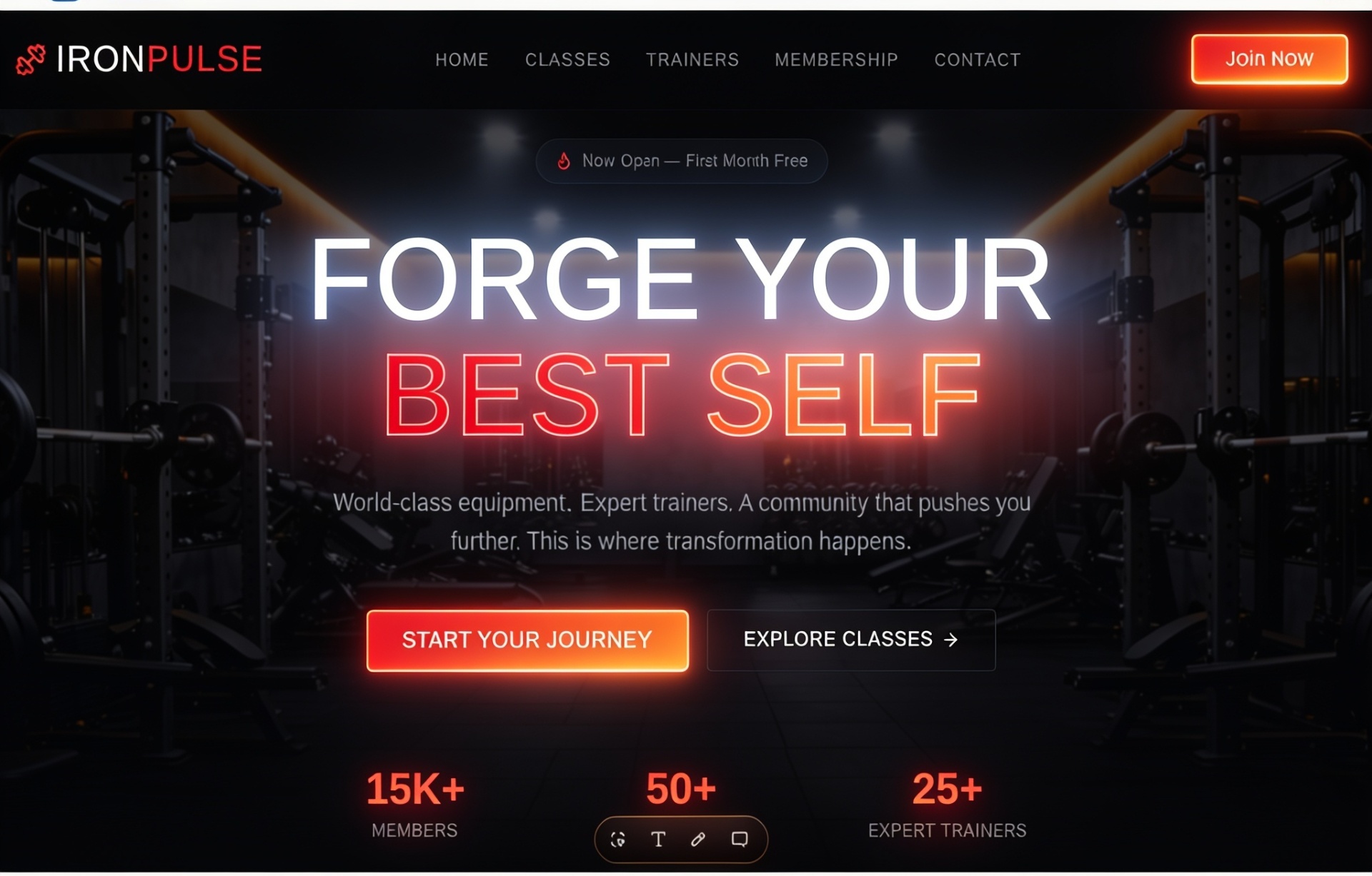 IronPulse website example